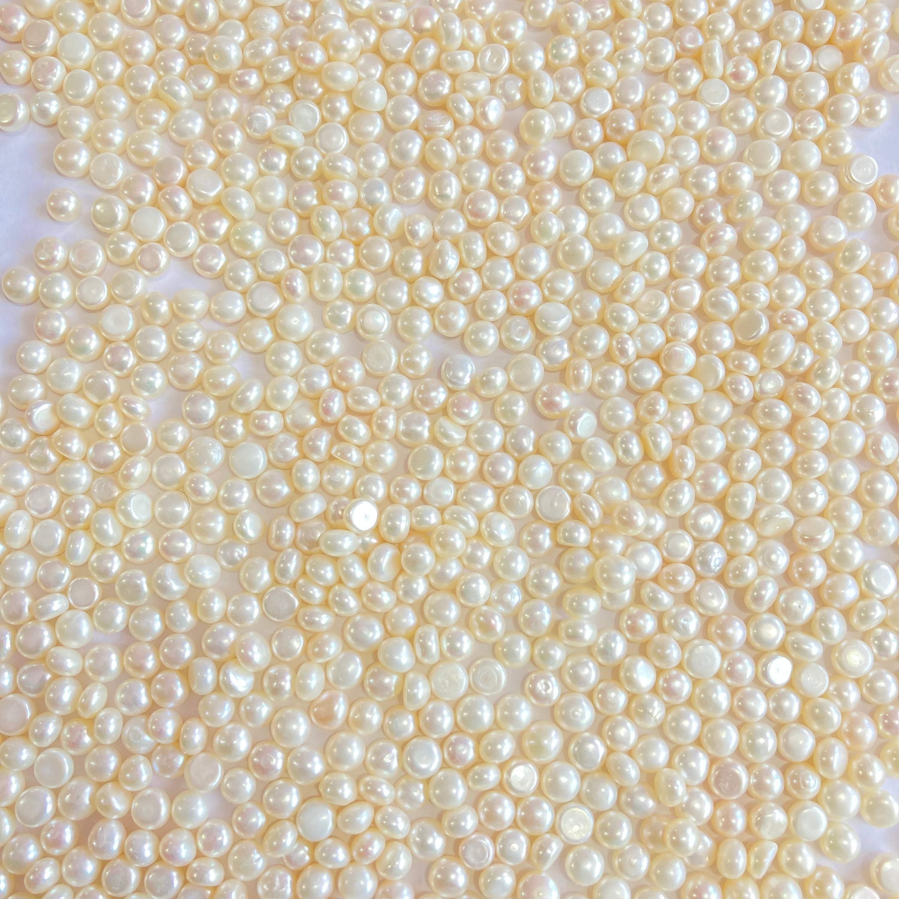 AA+ 5-6 mm button pearls, good quality, white freshwater pearl.